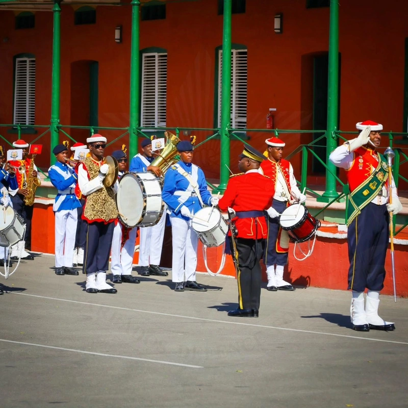 BDF troops in the field