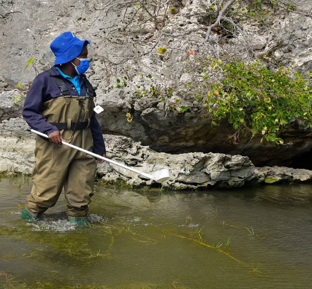 SAFEGUARDING PUBLIC HEALTH